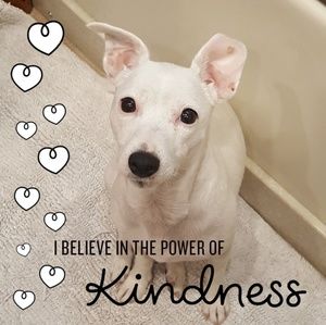 I Believe in the Power of Kindness